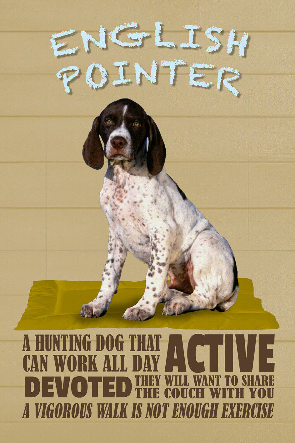 Schild Spruch English Pointer Steckbrief Active Aktiv Hund JW