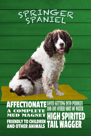 Schild Spruch Springer Spaniel Steckbrief Friendly to children Hund JW