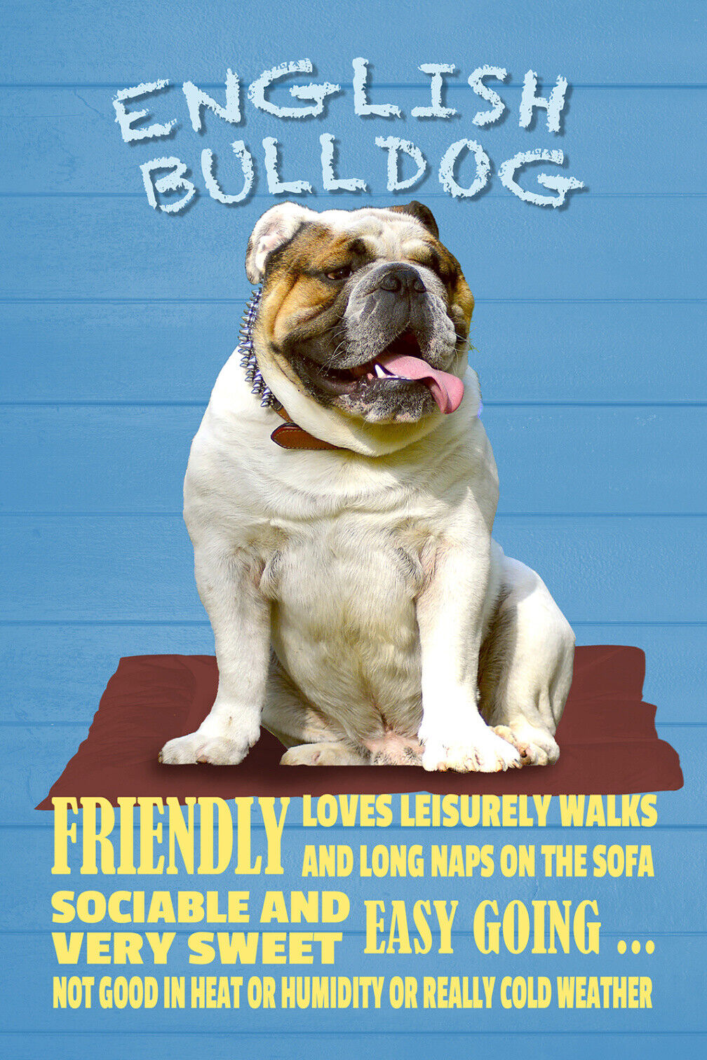 Schild Spruch English Bulldog Steckbrief Friendly Freundlich Hund JW