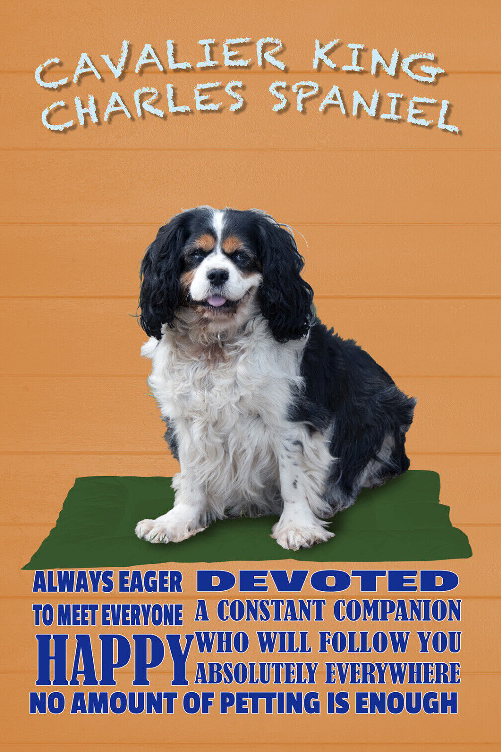 Schild Spruch Cavalier King Charles Spaniel Steckbrief Happy Fröhlich Hund JW