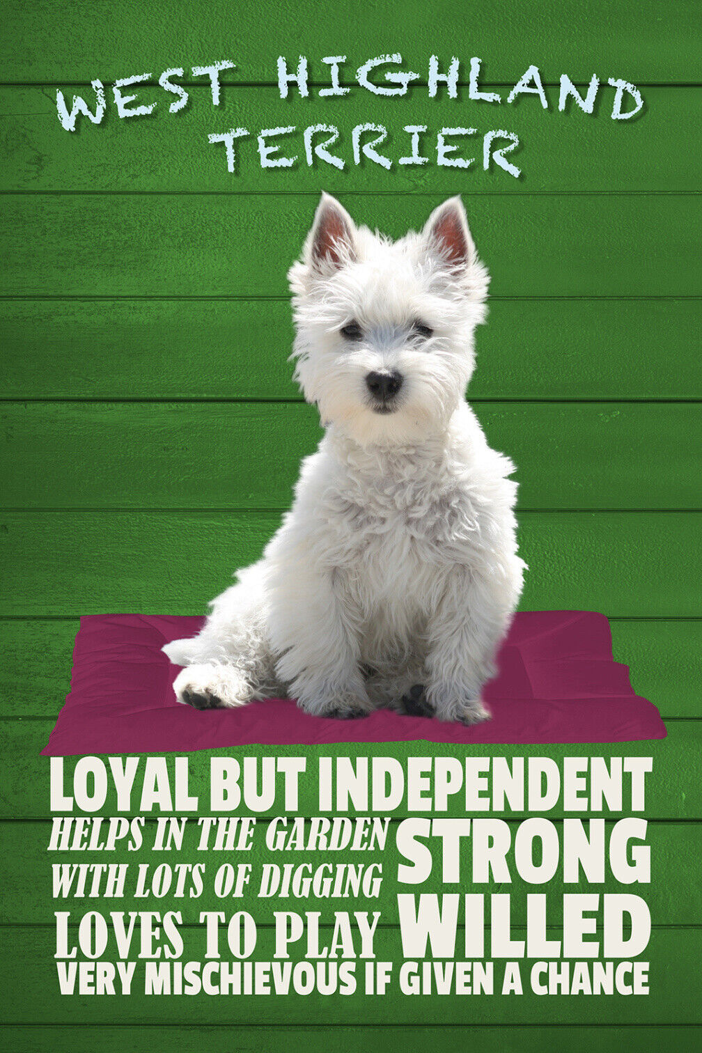 Schild Spruch West Highland Terrier Steckbrief Loves to play Verspielt Hund JW