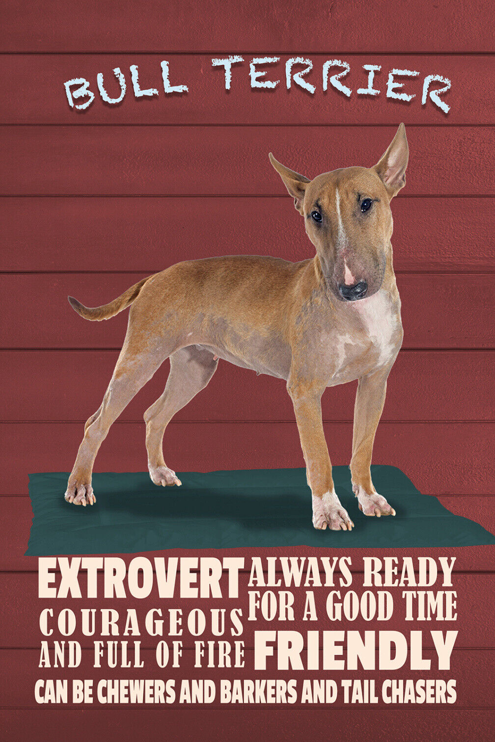 Schild Spruch Bull Terrier Steckbrief Friendly Freundlich Hund JW