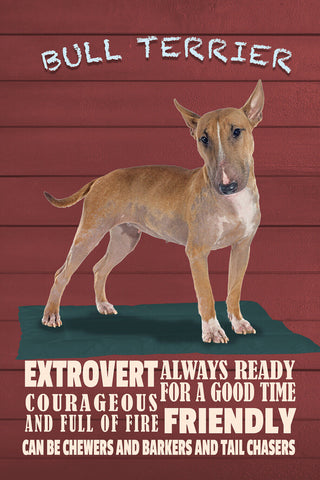 Schild Spruch Bull Terrier Steckbrief Friendly Freundlich Hund JW