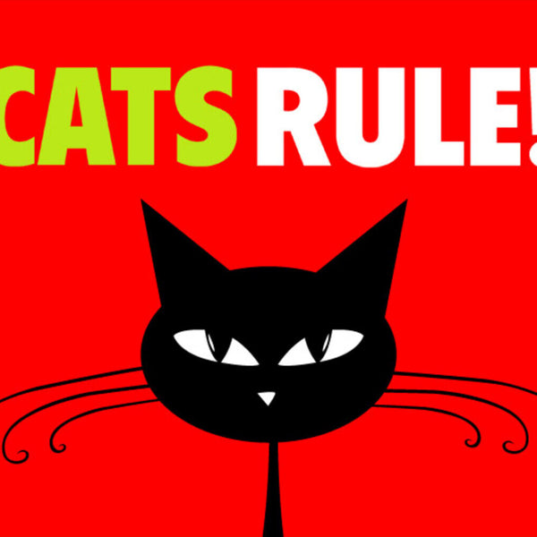 Schild Spruch Cats rule Katzen herrschen Comic JW