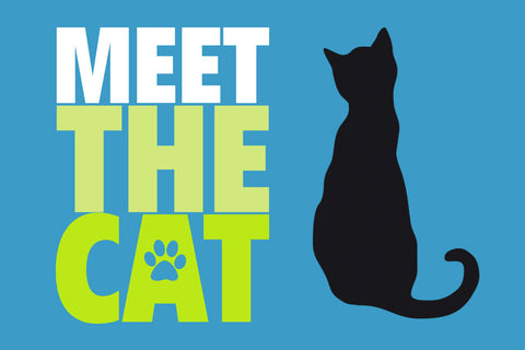 Schild Spruch Meet the cat Lern die Katze kennen JW