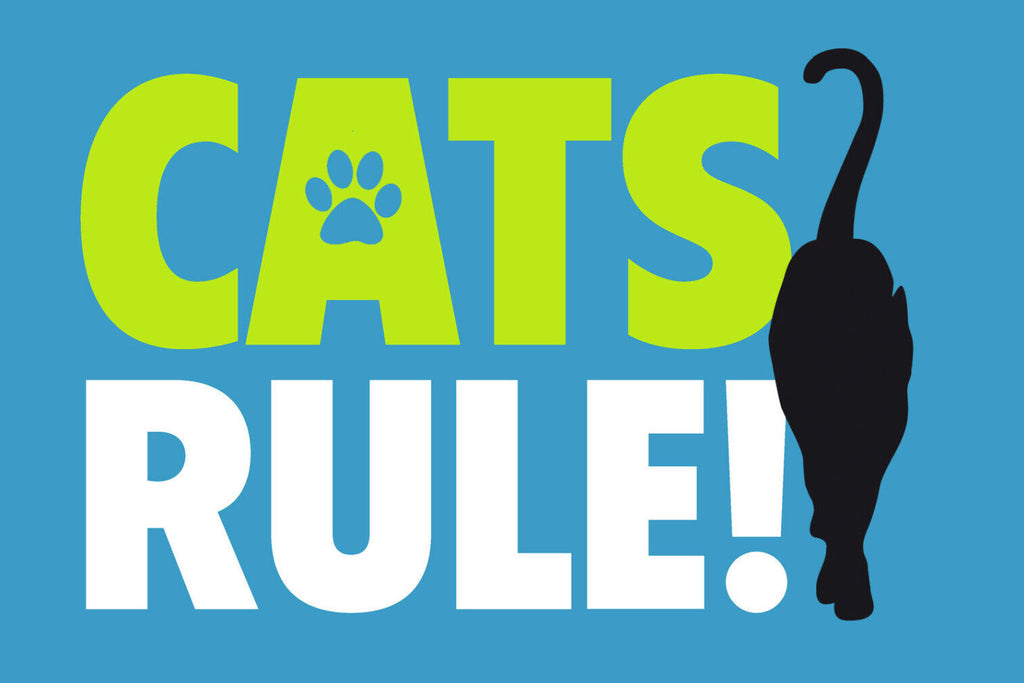 Schild Spruch Cats rule Katzen herrschen JW