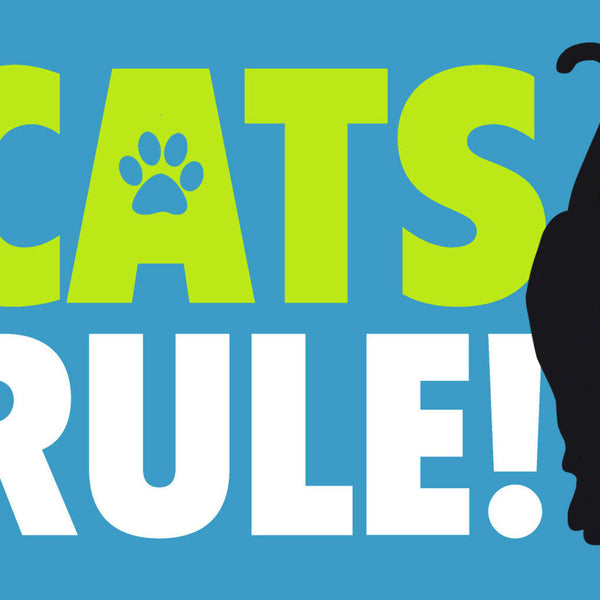 Schild Spruch Cats rule Katzen herrschen JW