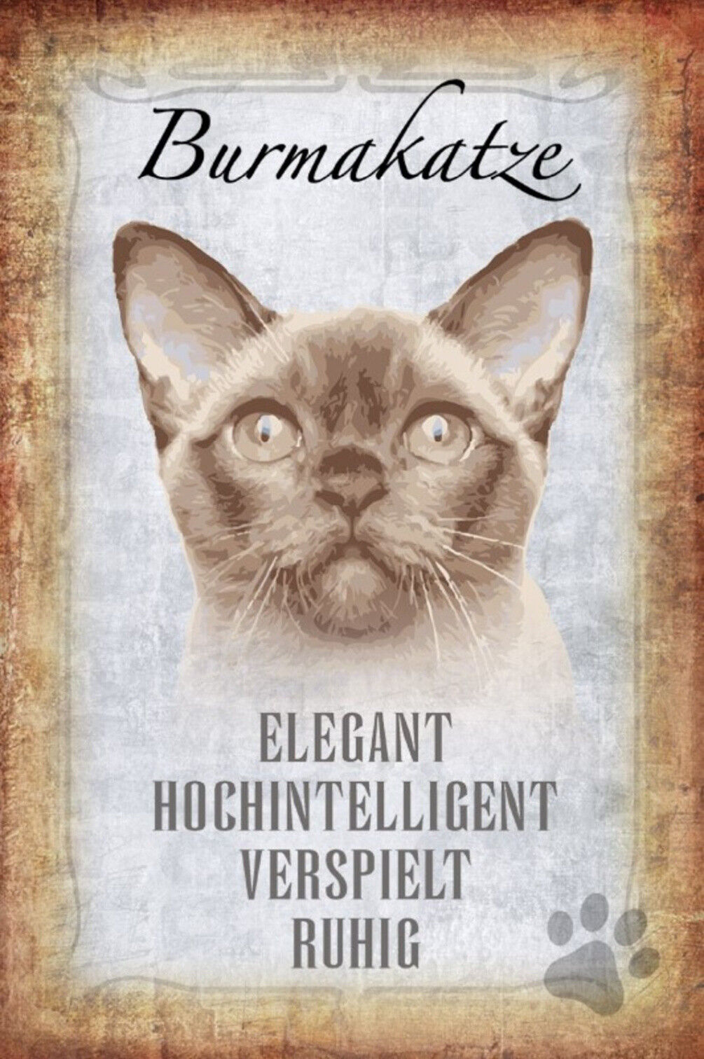 Schild Spruch Burmakatze Steckbrief Elegant Hochintelligent JW