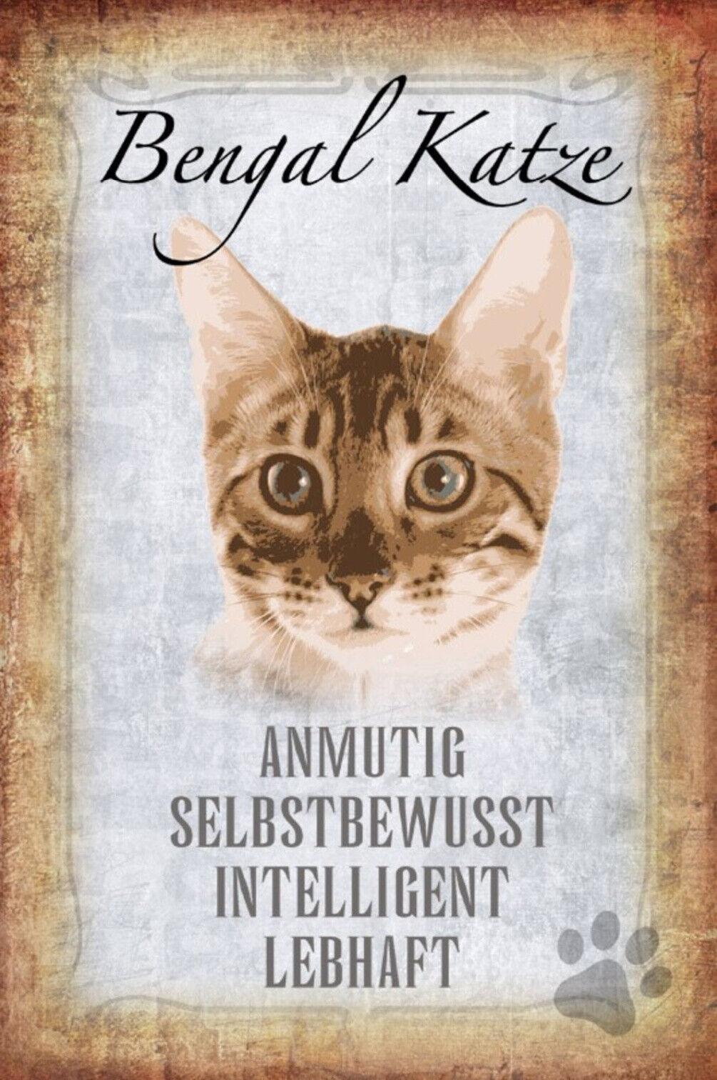 Schild Spruch Bengal Katze Steckbrief Anmutig Selbstbewußt JW