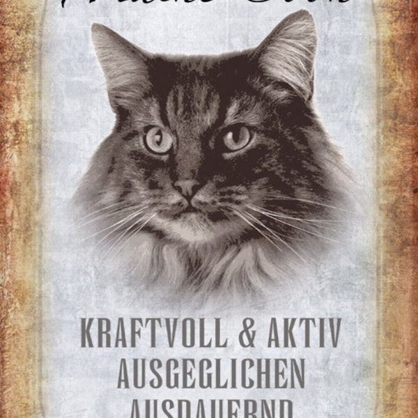 Schild Spruch Maine Coon Katze Steckbrief Kraftvoll Kinderlieb JW