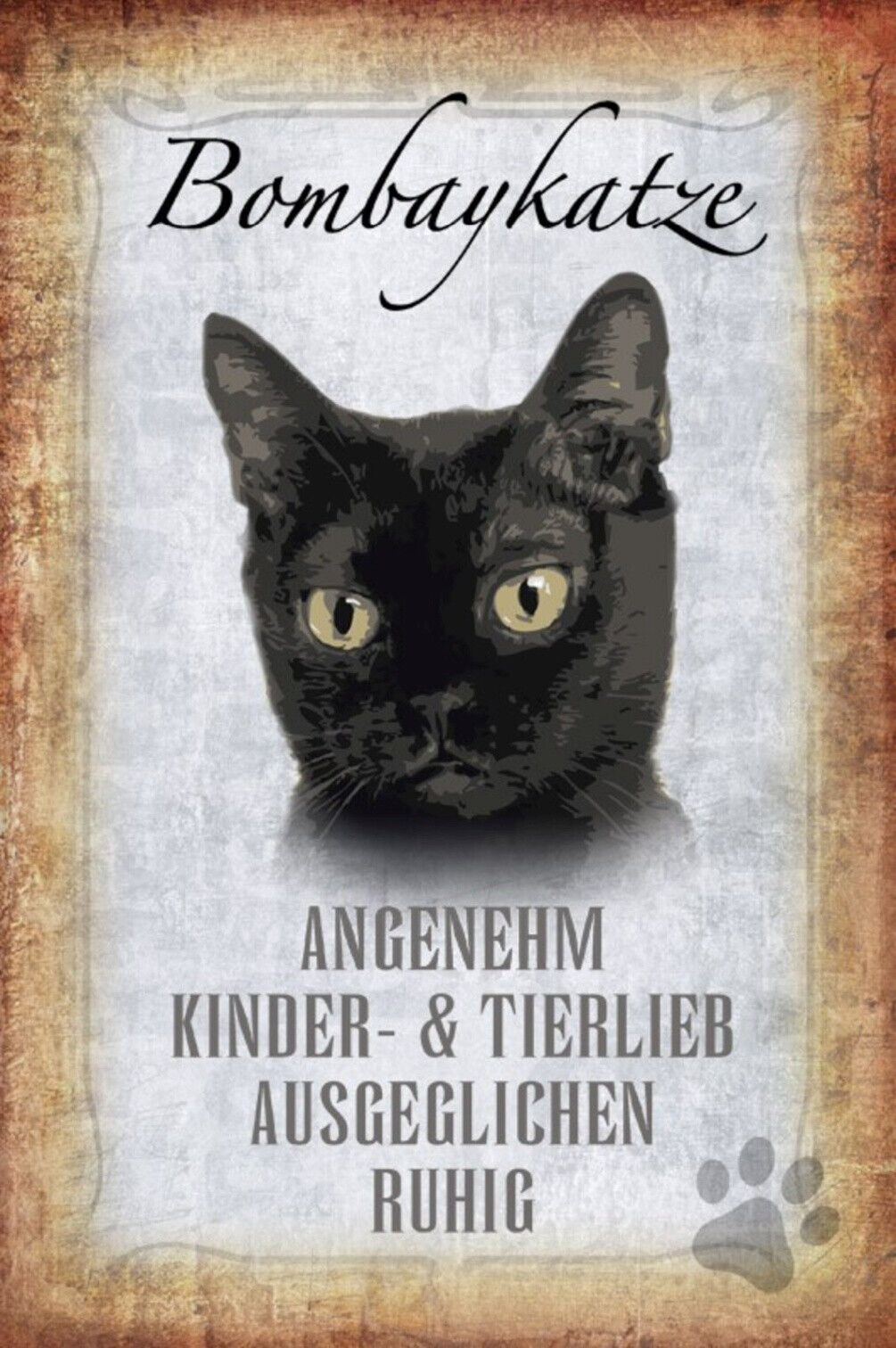 Schild Spruch Bombaykatze Steckbrief Angenehm Ausgeglichen JW