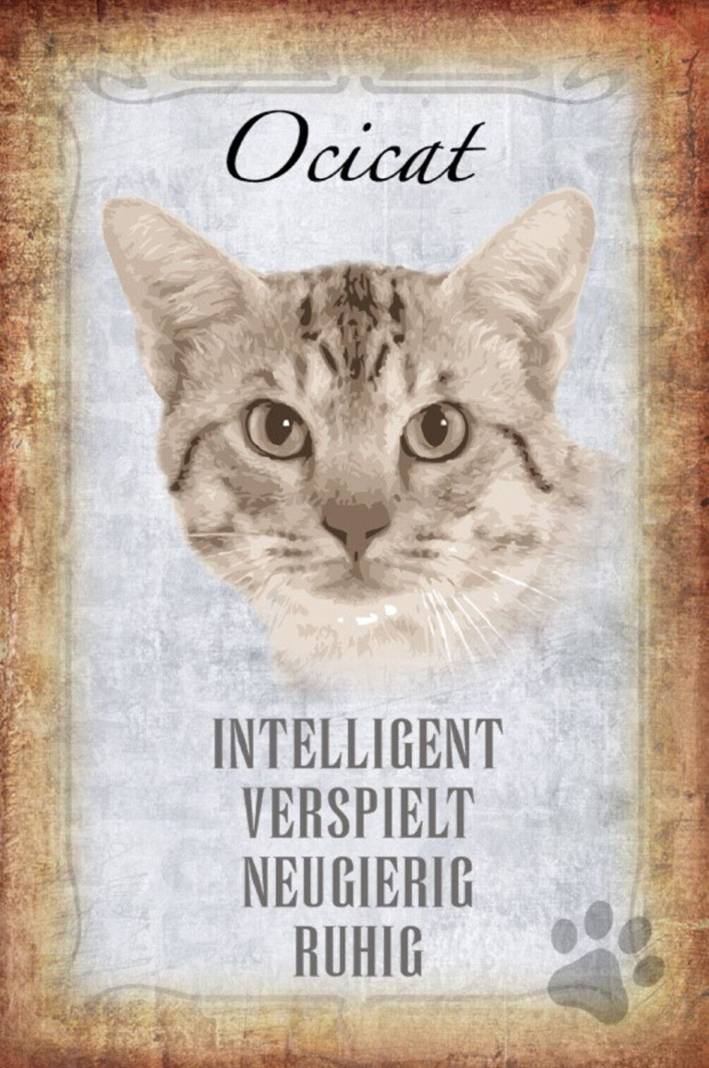 Schild Spruch Ocicat Katze Steckbrief Intelligent Verspielt JW