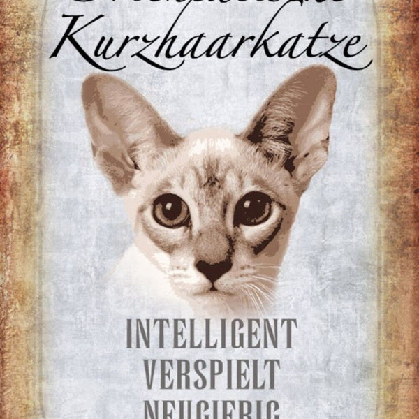 Schild Spruch Orientalische Kurzhaarkatze Steckbrief Intelligent Ruhig JW