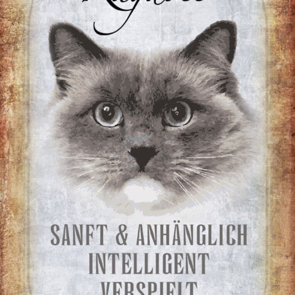 Schild Spruch Ragdoll Katze Steckbrief Sanft Intelligent JW
