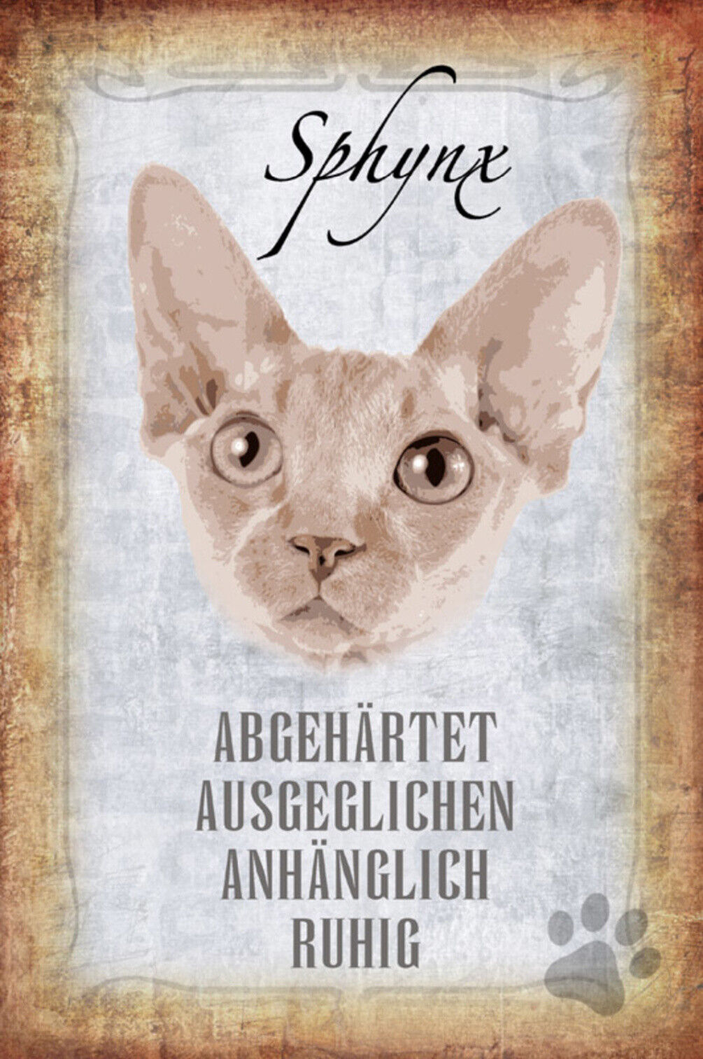Schild Spruch Sphynx Katze Steckbrief Abgehärtet Ausgeglichen JW