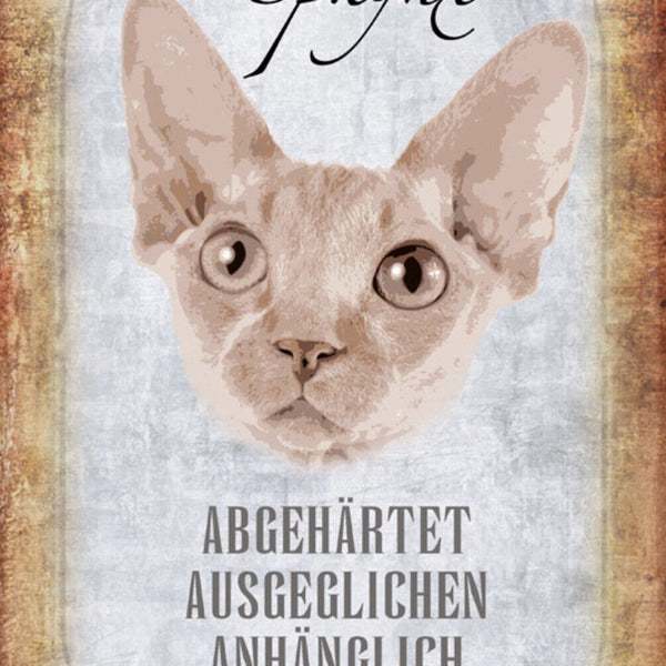 Schild Spruch Sphynx Katze Steckbrief Abgehärtet Ausgeglichen JW