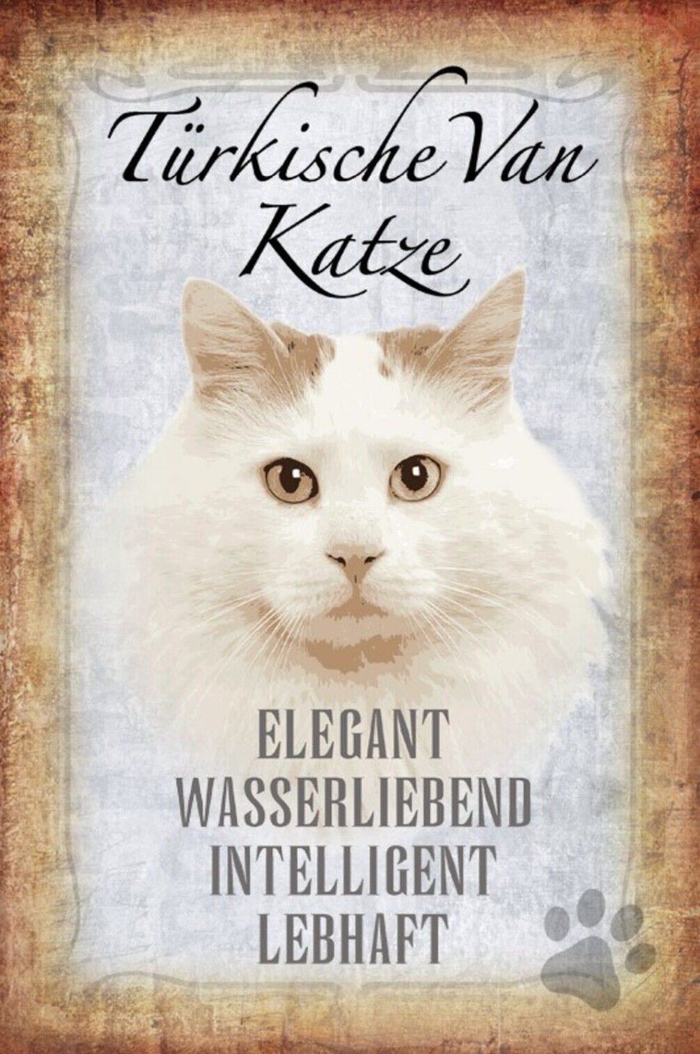 Schild Spruch Türkische Van Katze Steckbrief Elegant Wasserliebend JW