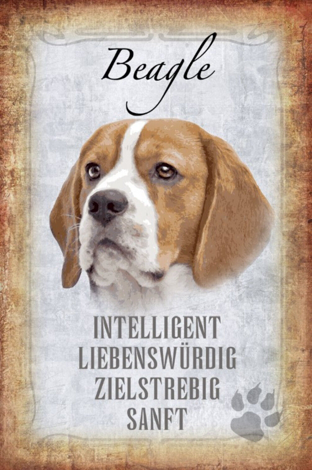 Schild Spruch Beagle Hund Steckbrief Intelligent Sanft JW