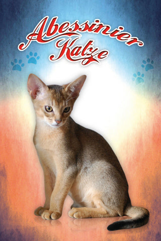 Schild Spruch Abessinier Katze JW