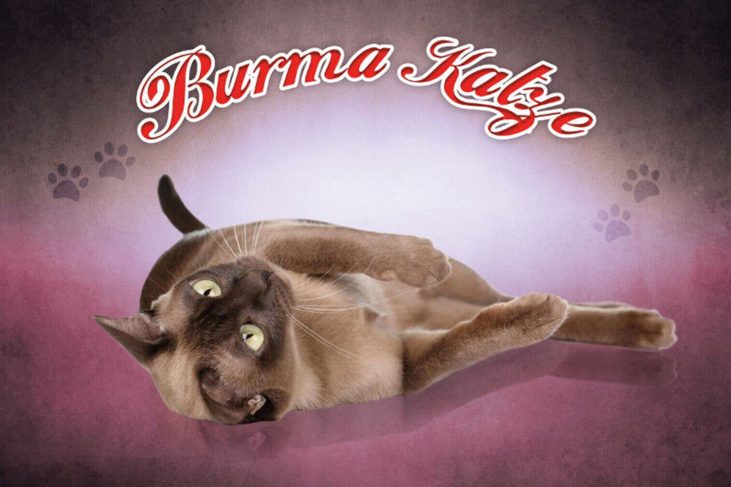 Schild Spruch Burma Katze JW