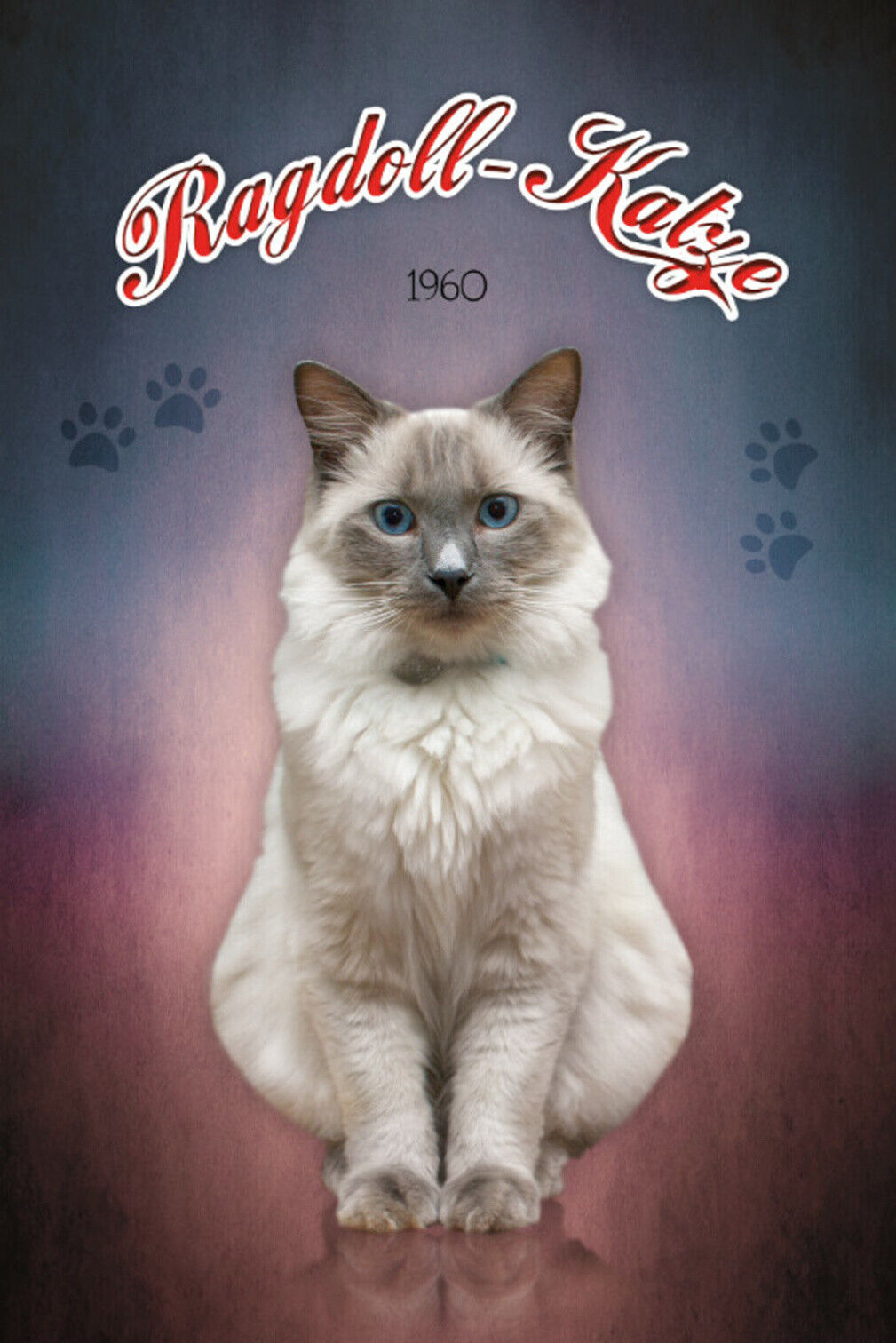 Schild Spruch Ragdoll Katze 1960 JW