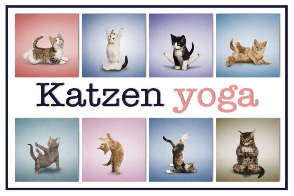 Schild Spruch Katzen Yoga JW