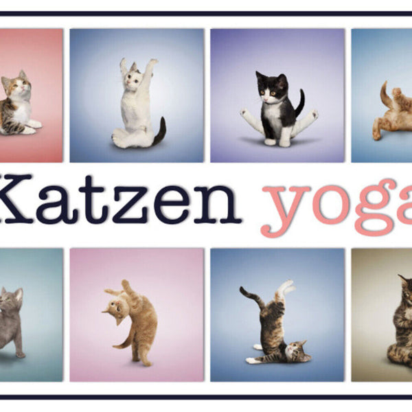 Schild Spruch Katzen Yoga JW