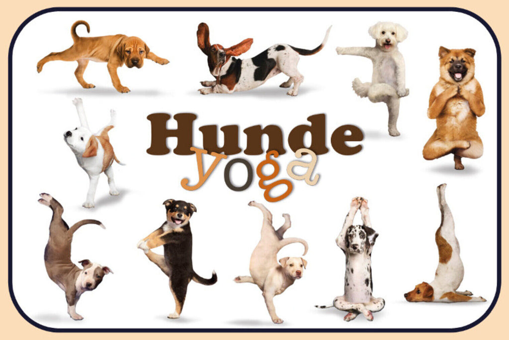 Schild Spruch Hunde Yoga JW