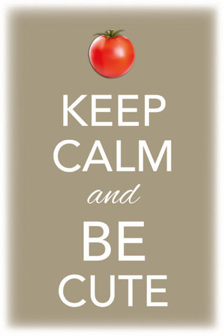 Schild Spruch Keep Calm and be cute Ruhig bleiben sei süß JW