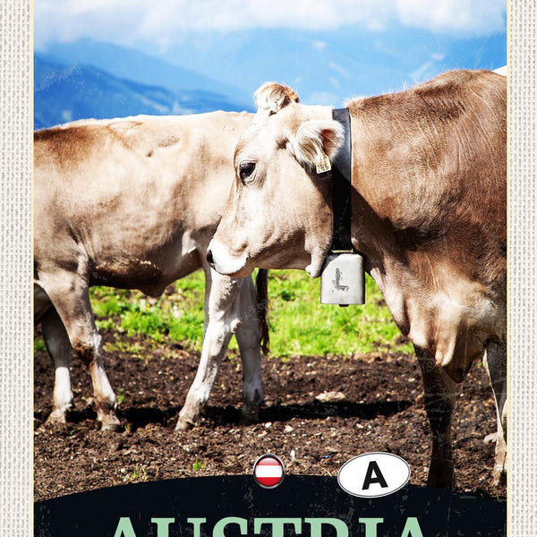 Schild Spruch Austria Österreich Kühe Berge Alm JW