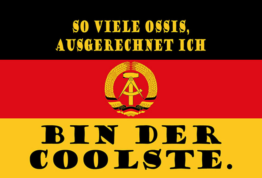 Schild Spruch So viele Ossis Ausgerechnet ich bin der Coolste DDR Flagge JW