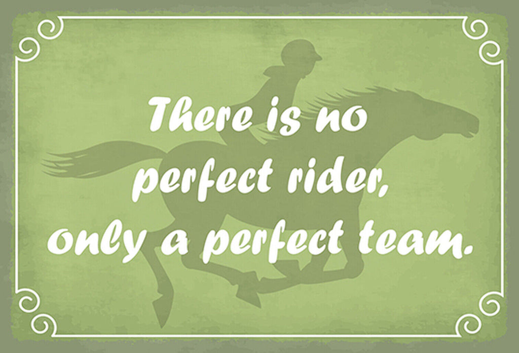 Schild Spruch No perfect rider only perfect team Pferd Reiten Kein perfekter JW