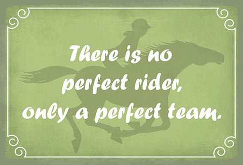 Schild Spruch No perfect rider only perfect team Pferd Reiten Kein perfekter JW
