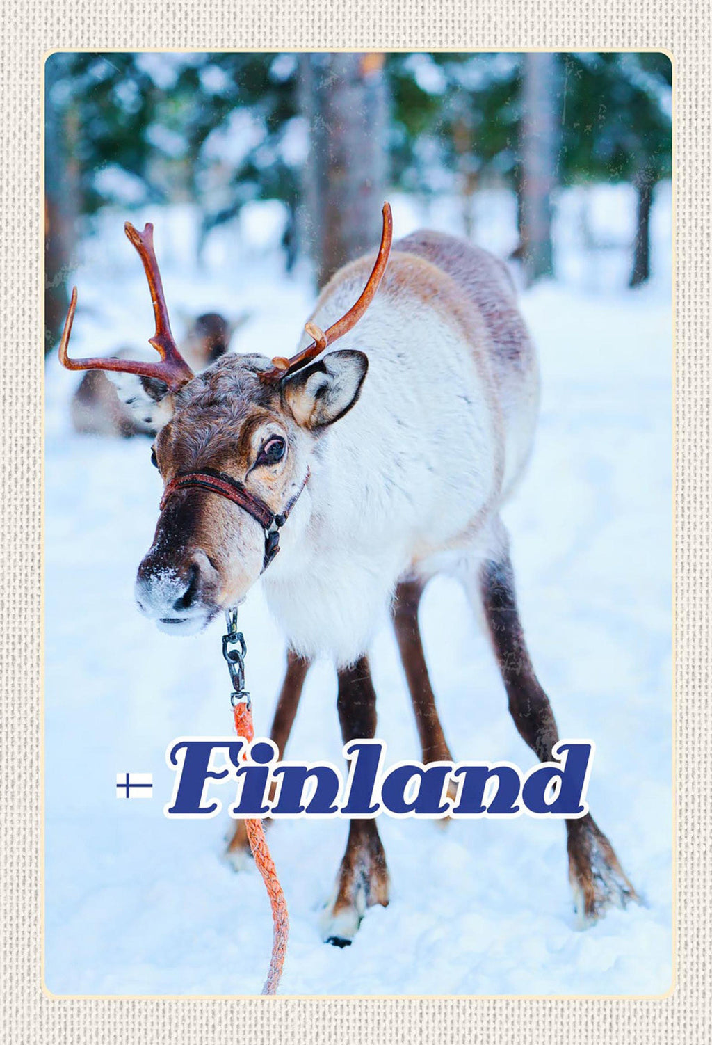 Schild Spruch Finland Finnland Rentier Wald Schnee Winter JW