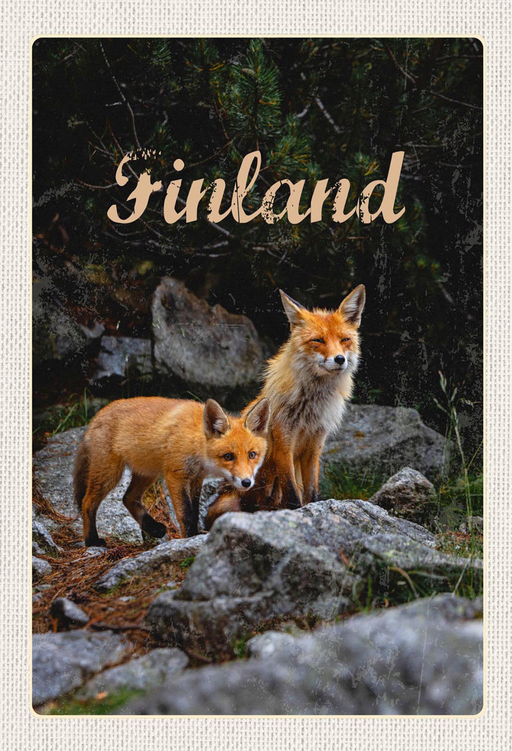Schild Spruch Finland Finnland Füchse Wald JW