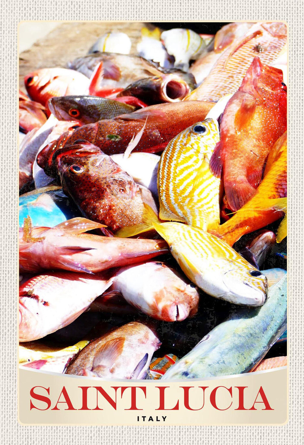 Schild Spruch Saint Lucia Italy Italien Fische JW