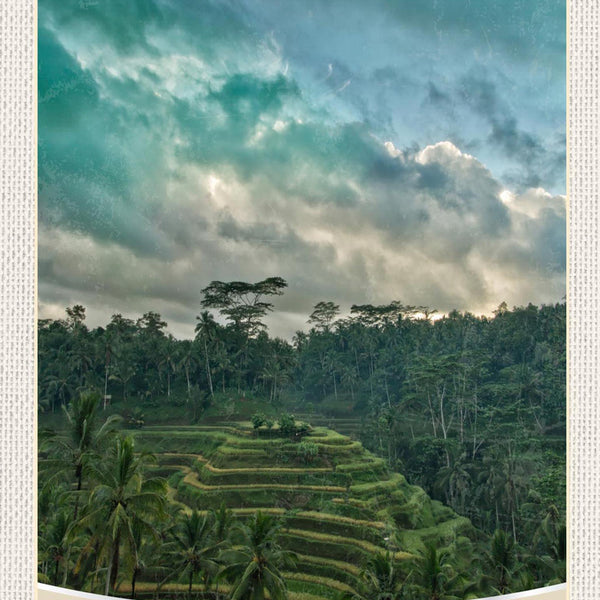 Schild Spruch Tegalalang Indonesia Wald Plantage JW