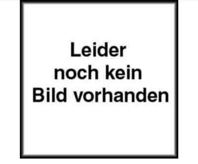 1119 REMBRANDT VAN RIJN, ALBRECHT DÜRER, LEONARDO DA VINCI HC