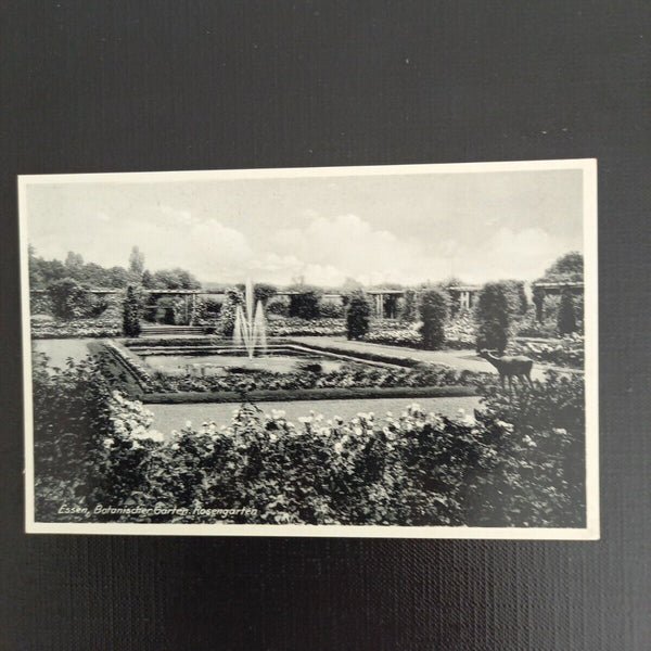 Essen Rosengarten 997/2 GR