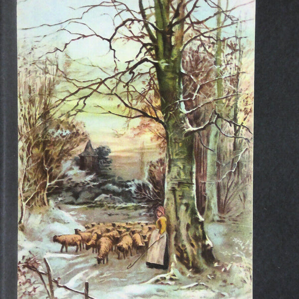 Im Wechsel der Zeiten Winter Schafherde 140414 jw J