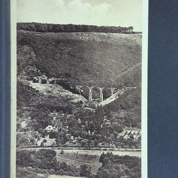 Wittlich an der Mosel Viadukt am Unkerstein 160023 jw J