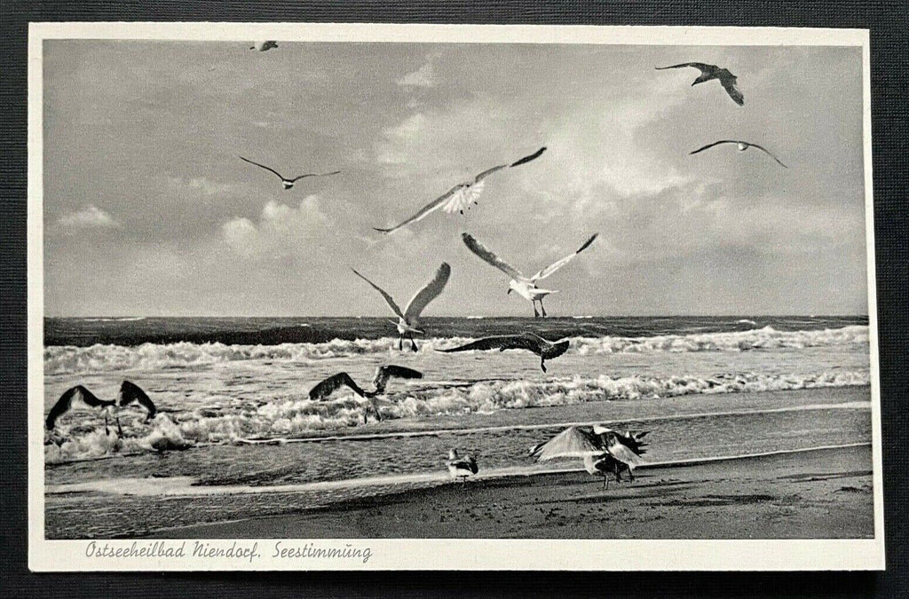 Ostseeheilbad Niendorf Seestimmung Möwe Schleswig-Holstein Deutschland 401088 A