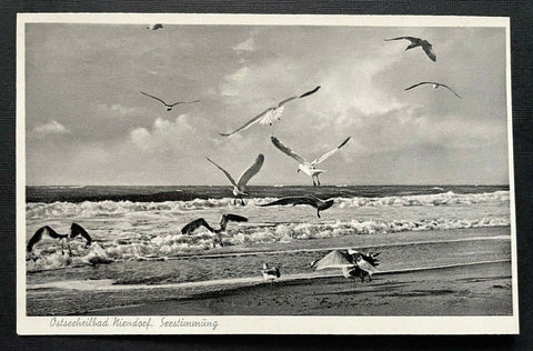 Ostseeheilbad Niendorf Seestimmung Möwe Schleswig-Holstein Deutschland 401088 A
