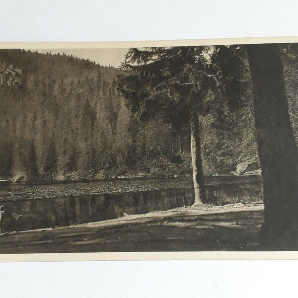 Blöckensteiner See, 1090m. 25004 ShOÖ
