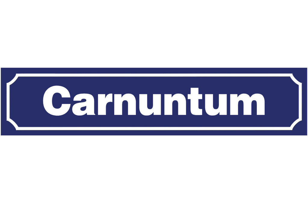 Schild Carnuntum Niederösterreich Rom Stadt Ort Straße 46 x 10 Blech od. Holz