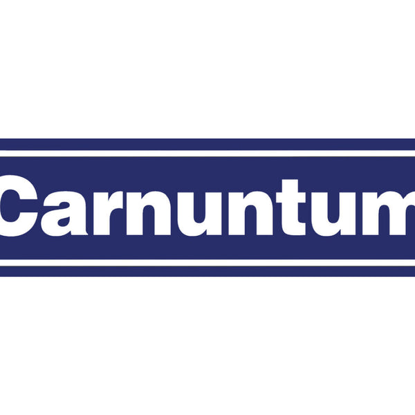 Schild Carnuntum Niederösterreich Rom Stadt Ort Straße 46 x 10 Blech od. Holz