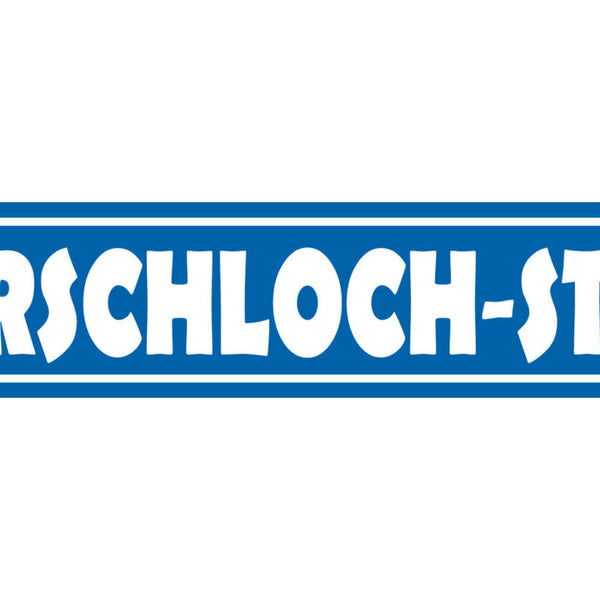 Schild Arschloch Straße Ort Gasse Fluchen Beschimpfung 46 x 10 Blech od. Holz