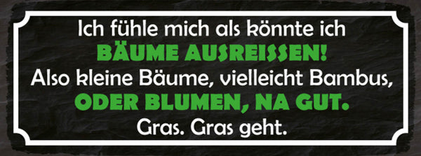 Schild Ich Fühle Mich Als Könnte Ich Bäume Ausreissen Bäume Bambus Blumen Gras