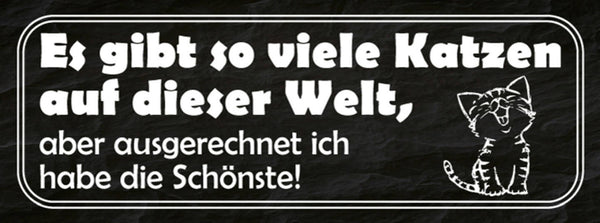 Schild Es Gibt Viele Katzen Auf Der Welt Aber Ausgerechnet Ich Hab Die Schönste