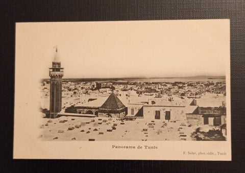 Panorama De Tunis 800049 Ga E